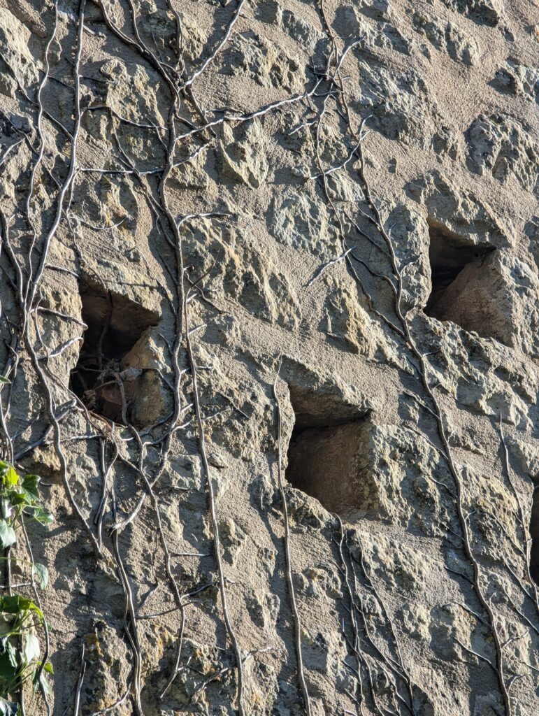 Colas Mornet architecte — fragment - pigeonnier