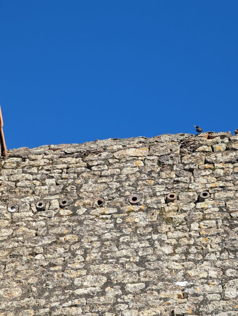 Colas Mornet architecte — fragment - patrimoine , tube terre cuite